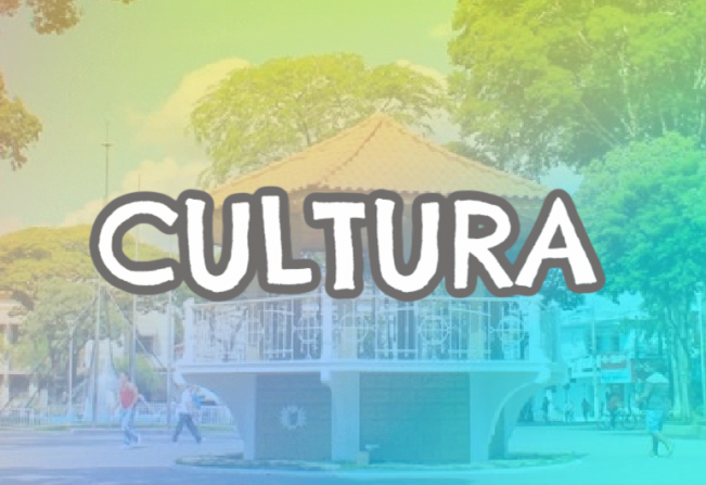 Câmara aprova criação do Conselho Municipal de Cultura